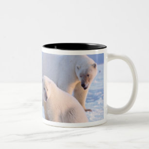 Caneca De Café Em Dois Tons Ursoaica com filhotes no gelo costeiro