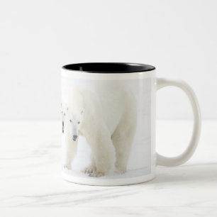 Caneca De Café Em Dois Tons Ursos polares que estão na neve após ter jogado