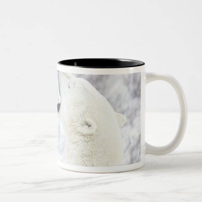 Caneca De Café Em Dois Tons Ursos polares que jogam na neve (Direita)