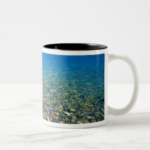 Caneca De Café Em Dois Tons UTAH. EUA. Água clara do Bear Lake revela