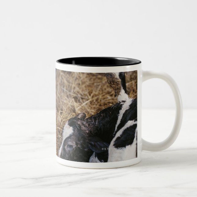 Caneca De Café Em Dois Tons Vaca e vitela no feno (Direita)