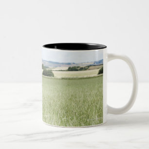 Caneca De Café Em Dois Tons Vaca que pasta no prado