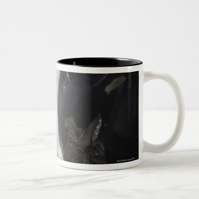 Caneca De Café Em Dois Tons Vacas (Direita)