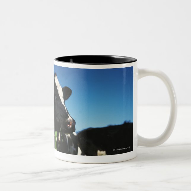 Caneca De Café Em Dois Tons Vacas de Holstein em um campo (Direita)