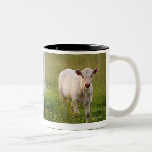 Caneca De Café Em Dois Tons Vacas no campo (Direita)