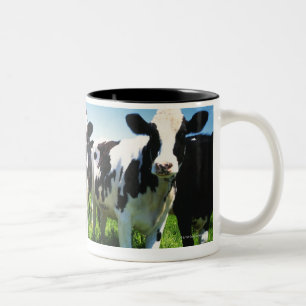 Caneca De Café Em Dois Tons Vacas no campo, cidade de Betsukai, Hokkaido