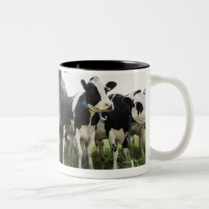 Caneca De Café Em Dois Tons Vacas que estão em seguido de vista a câmera