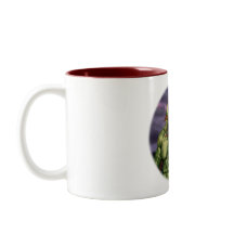Vaga de Troll vulcano Portrait Fantasy Coffee Mug