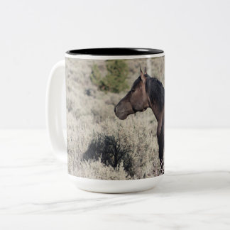 Caneca De Café Em Dois Tons Valor do South Steens ignorando sua banda