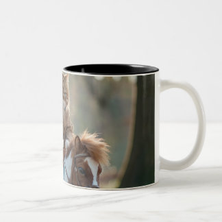 Caneca De Café Em Dois Tons Vamos vai numa aventura com a pequena floresta h
