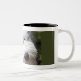 Caneca De Café Em Dois Tons velho cãozinho inglês
