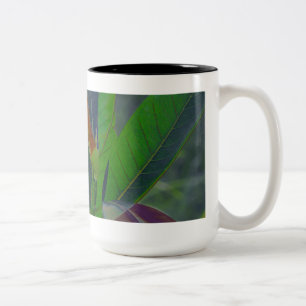 Caneca De Café Em Dois Tons Verde deixa fechado