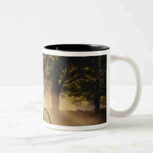 Caneca De Café Em Dois Tons Vermont, Nordeste do Reino Unido, luz solar a cair