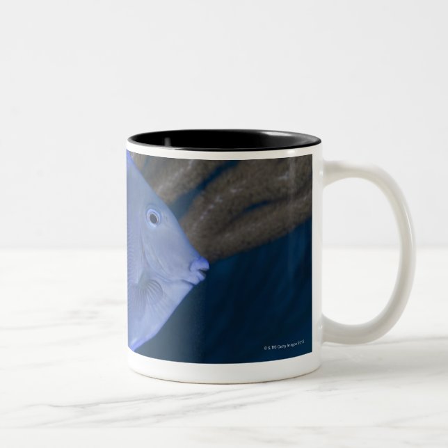 Caneca De Café Em Dois Tons Vida subaquática: Coeruleus do Acanthurus com mar (Direita)