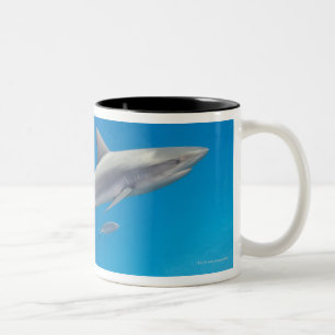 Caneca De Café Em Dois Tons Vida subaquática: Natação do perezi do