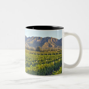 Caneca De Café Em Dois Tons Vinhas de Cabernet Sauvignon em Huailai Rongchen 2
