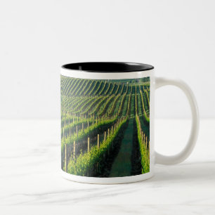 Caneca De Café Em Dois Tons Vinhas em fileiras organizadas na Napa, Califórnia