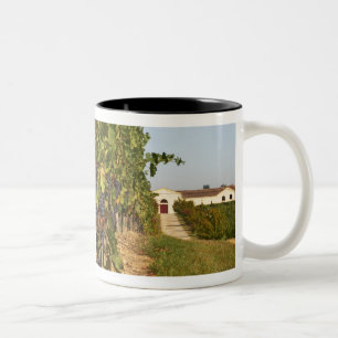 Caneca De Café Em Dois Tons Vinhas, videiras petit verdot e a adega ao