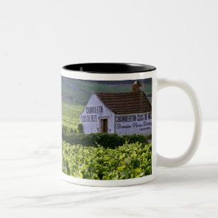 Caneca De Café Em Dois Tons vinhedo Chambertin Clos de Beze Grand Cru com