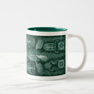 Caneca De Café Em Dois Tons Vintage Haeckel
