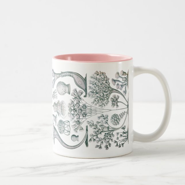 Caneca De Café Em Dois Tons Vintage Haeckel (Direita)