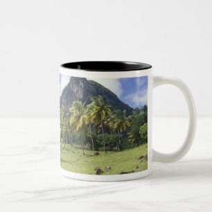Caneca De Café Em Dois Tons Visão de Gros Piton ao longo da trilha histórica e