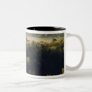 Caneca De Café Em Dois Tons Vista aérea da floresta em Cades Cove, Great Smoky