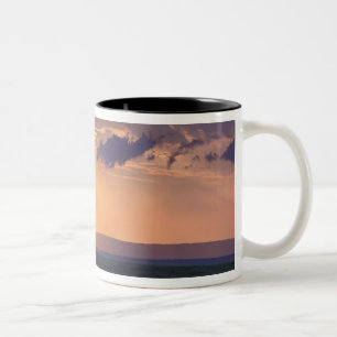 Caneca De Café Em Dois Tons Vista panorâmica de uma única árvore acácia em