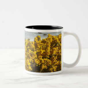 Caneca De Café Em Dois Tons Vistas costeiras, Bandon, Oregon
