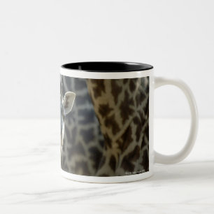Caneca De Café Em Dois Tons Vitela do girafa com girafas