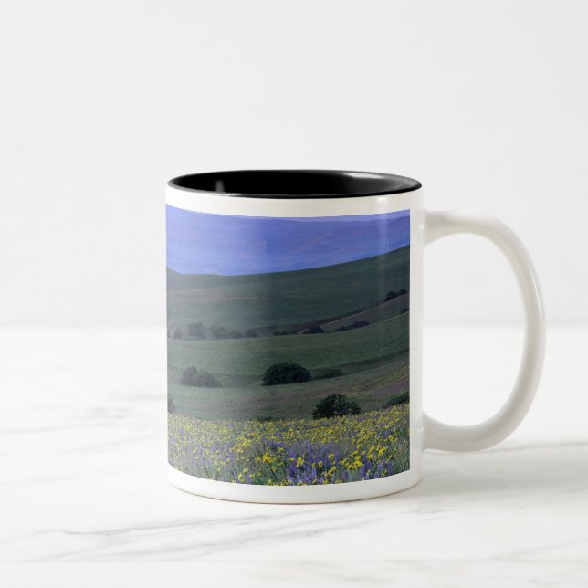 Caneca De Café Em Dois Tons WA, Condado de Klickitat, Dalles Mountain Ranch, (Direita)