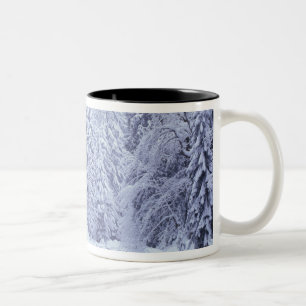 Caneca De Café Em Dois Tons WA, Floresta Nacional Monte Baker-Snoqualmie,