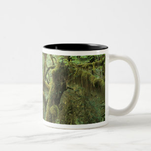 Caneca De Café Em Dois Tons WA, Olimpiadas NP, Hoh Rain Forest, Hall of