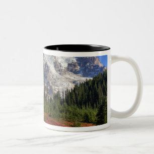Caneca De Café Em Dois Tons WA, Parque Nacional do Mt. Rainier, Vale do Paraís