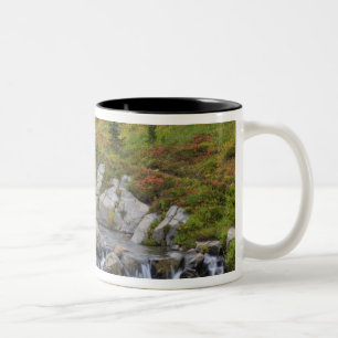 Caneca De Café Em Dois Tons WA, Parque Nacional Mt. Rainier, Edith Creek