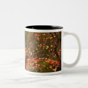 Caneca De Café Em Dois Tons WA, Seattle, Arboreto do Parque Washington, Japonê
