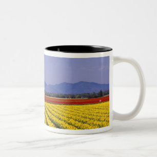 Caneca De Café Em Dois Tons WA, Vale do Skagit, Tulipa do Vale do Skagit 2