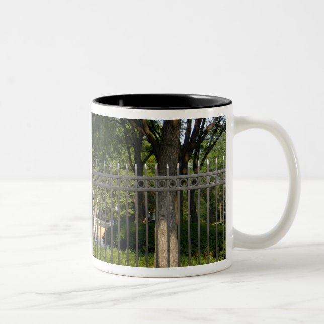 Caneca De Café Em Dois Tons Washington, DC, estátua de George Washington, A (Direita)