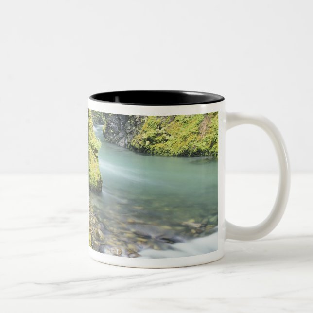 Caneca De Café Em Dois Tons Washington, Parque Nacional Olimpiadas, Sazonal (Direita)