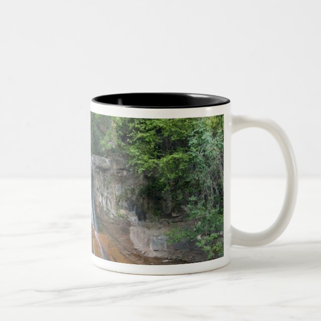 Caneca De Café Em Dois Tons Waterfall, Zion National Park, Utah, EUA (Direita)