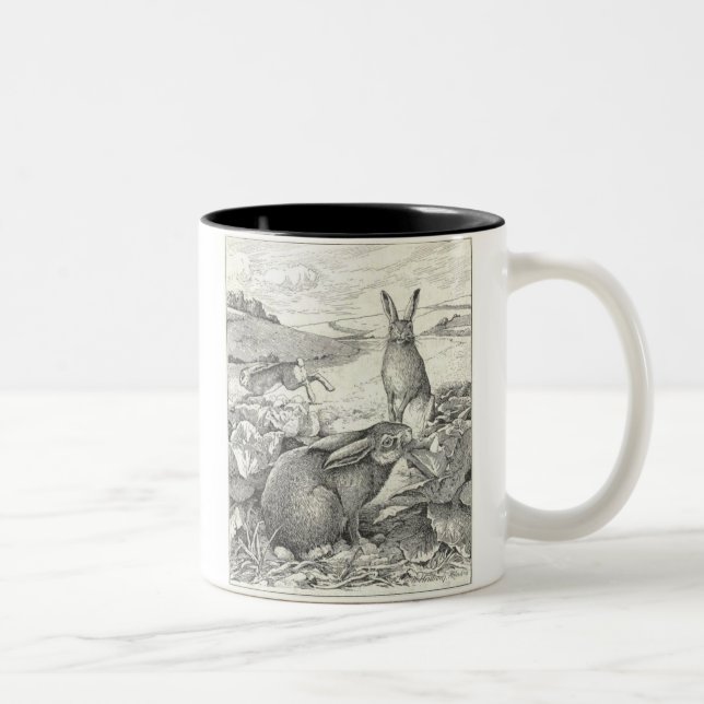 Caneca De Café Em Dois Tons Watership para baixo (Direita)