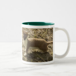 Caneca De Café Em Dois Tons weasel Mug