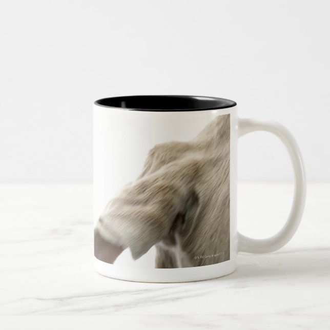 Caneca De Café Em Dois Tons Weimaraner 2 (Direita)