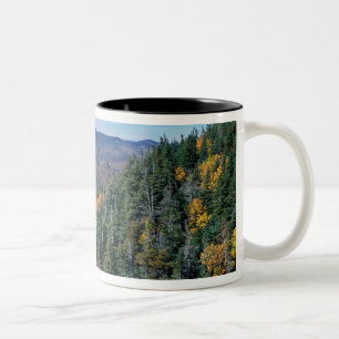Caneca De Café Em Dois Tons White Mountain N.F., NH. A vista de perto
