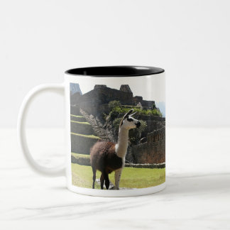 Caneca De Café Em Dois Tons Wild Llama Near Ruins