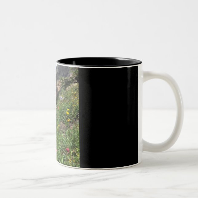 Caneca De Café Em Dois Tons Wildflowers da montanha rochosa (Direita)