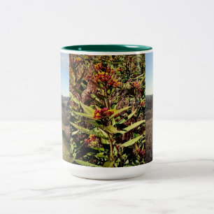 Caneca De Café Em Dois Tons Wisconsin Fall Wildflower and Field Coffee Mug