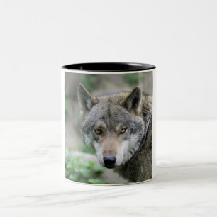 Caneca De Café Em Dois Tons Wolf_011