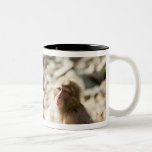 Caneca De Café Em Dois Tons Yamanouchi, Chubu, Nagano, Japão 2
