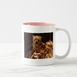 Caneca De Café Em Dois Tons Yorkie